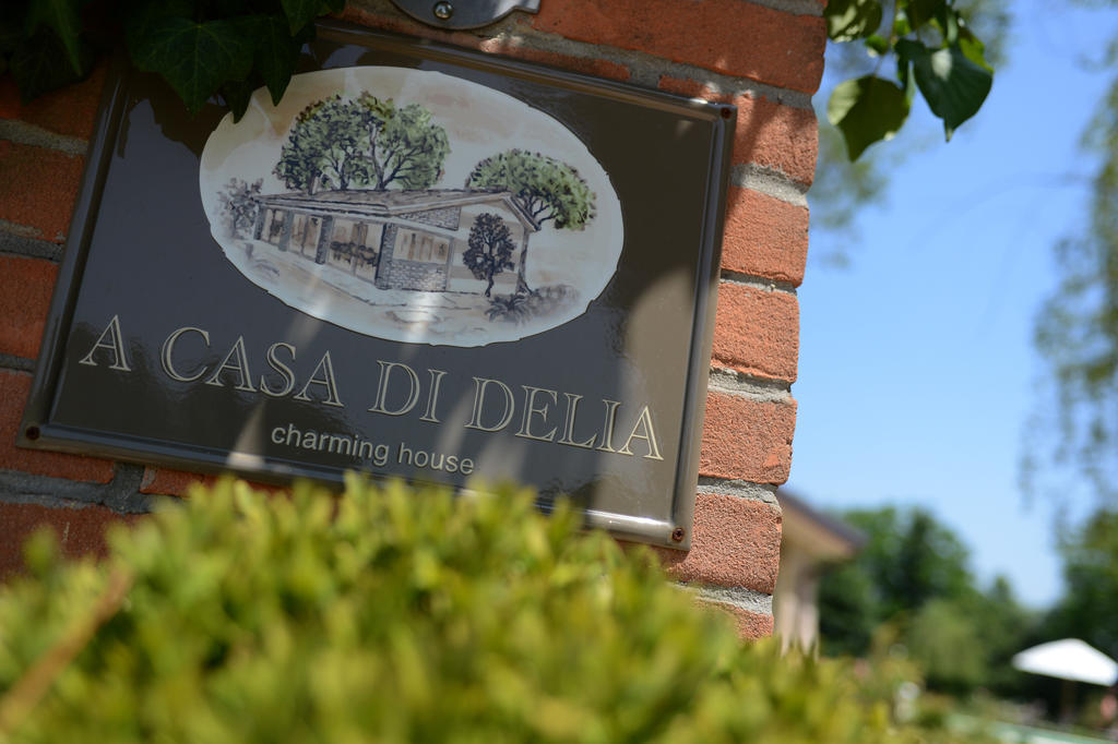 A Casa Di Delia B&B Charming House 산텔레나 디 실레아 외부 사진